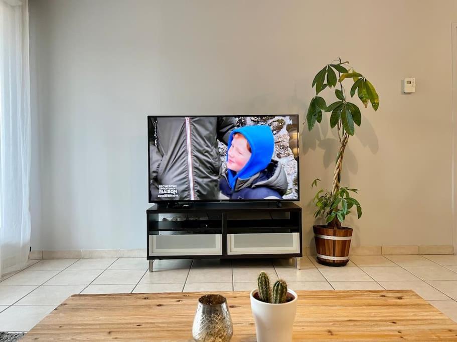 L'Ideal Cosy-Wifi-Netflix Et Garage Vienne  Exteriér fotografie
